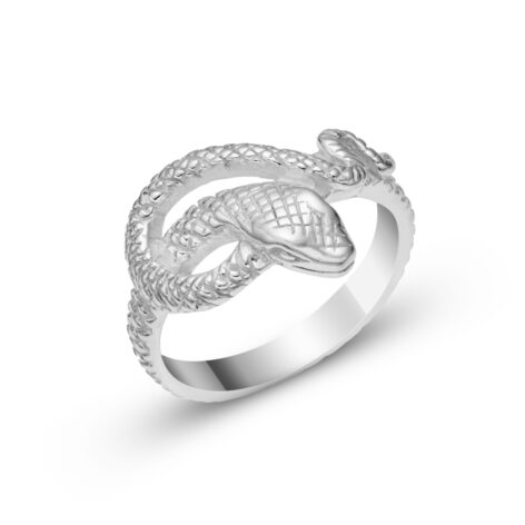 stříbrný prsten Had