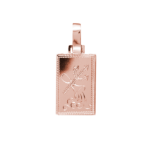 Pollux přívěsek znamení zvěrokruhu vodnář destička s ruční rytinou růžové zlato šperky jiříček