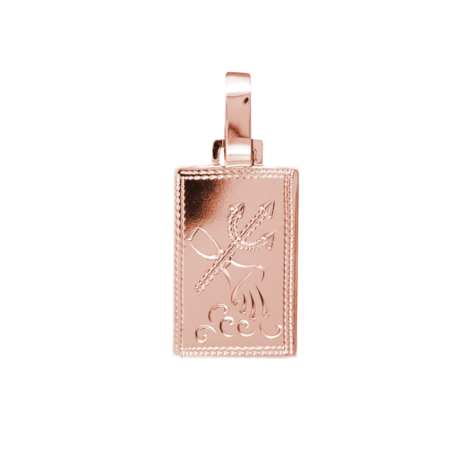 Pollux přívěsek znamení zvěrokruhu vodnář destička s ruční rytinou růžové zlato šperky jiříček