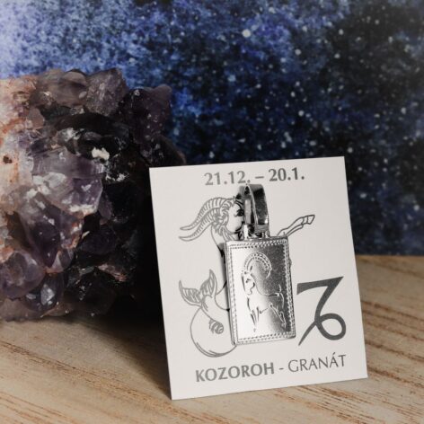 Pollux stříbrný přívěsek znamení zvěrokruhu kozoroh destička s ruční rytinou bílé zlato šperky jiříček