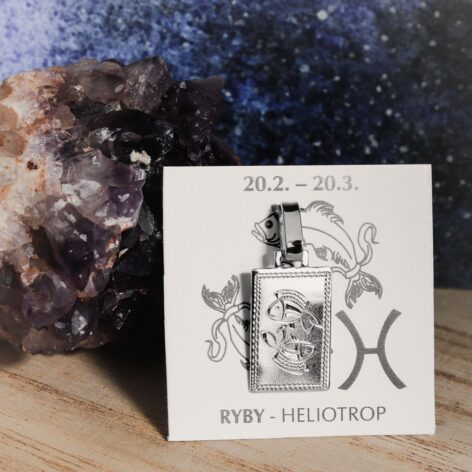 Stříbrný přívěsek Zvěrokruh - Pollux - Ryby